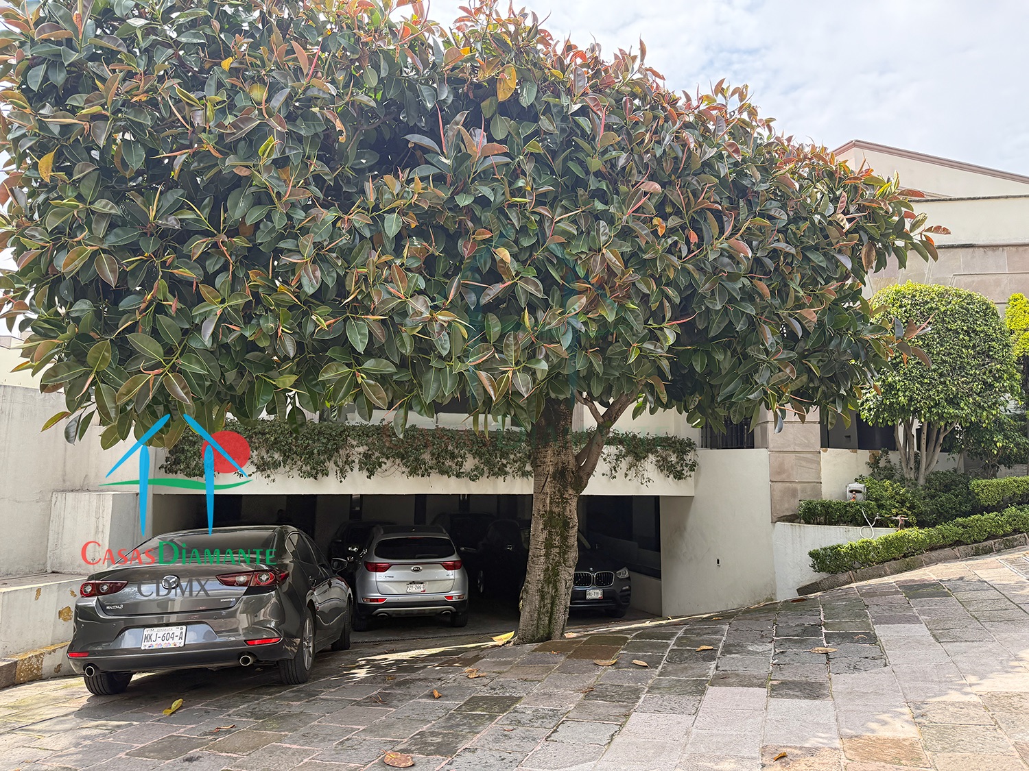 Jardines del Pedregal Casa Árbol B - Estacionamiento 1